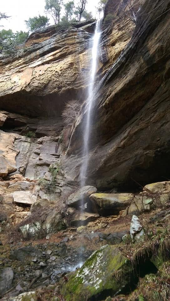 Frozen icicles on sandstone overhang