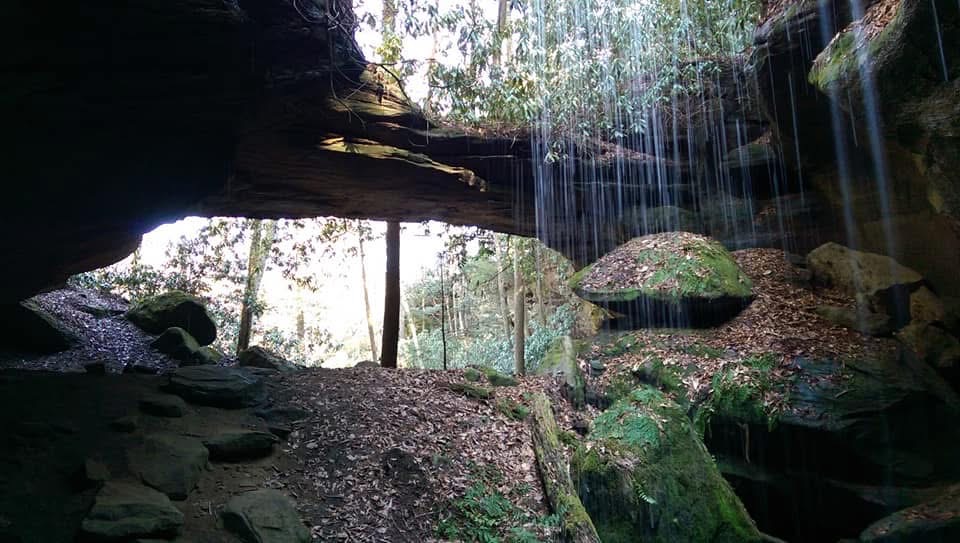 Misty creek winding through the gorge forest
