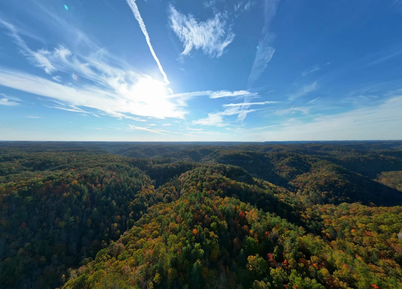 Milky Way over Red River Gorge cliffs